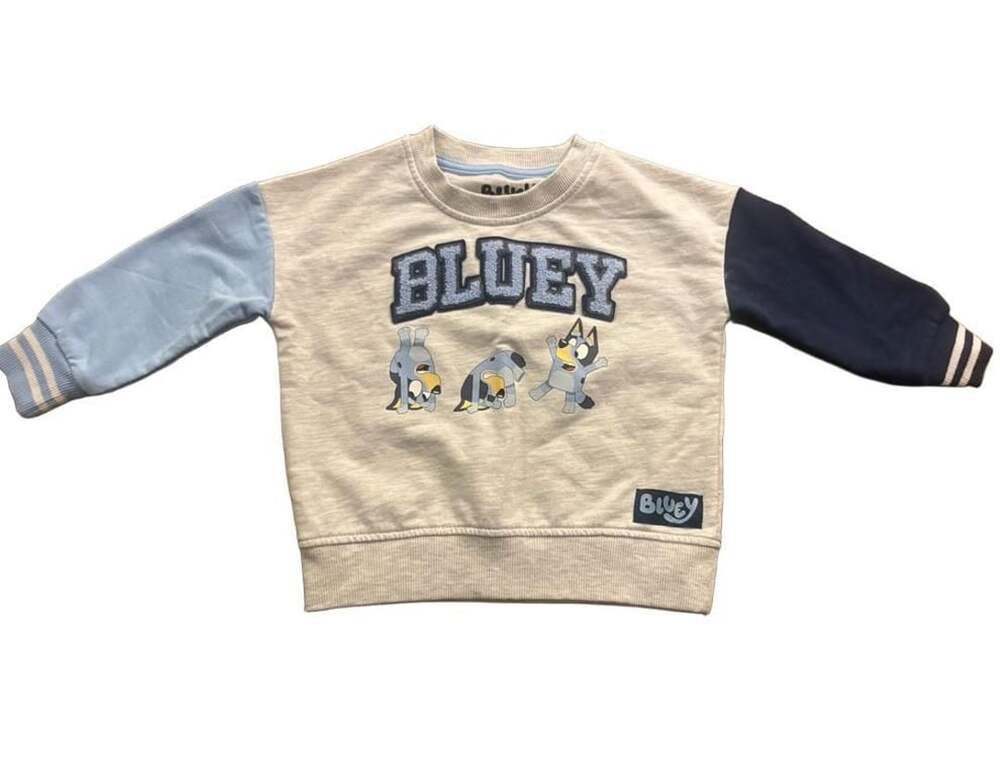 Toddler Bluey Colorblock French Terry Sweatshirt - Grey